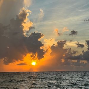 Meet your Posher, Sydney